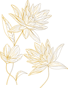 Decorative lotus flowers